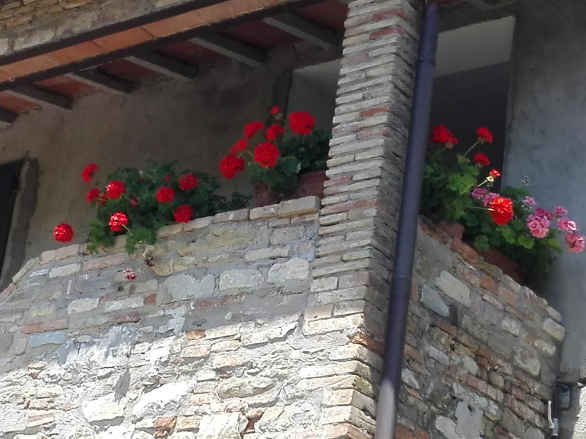 Fattoria Di Rigone Villa Coltavolino Kültér fotó