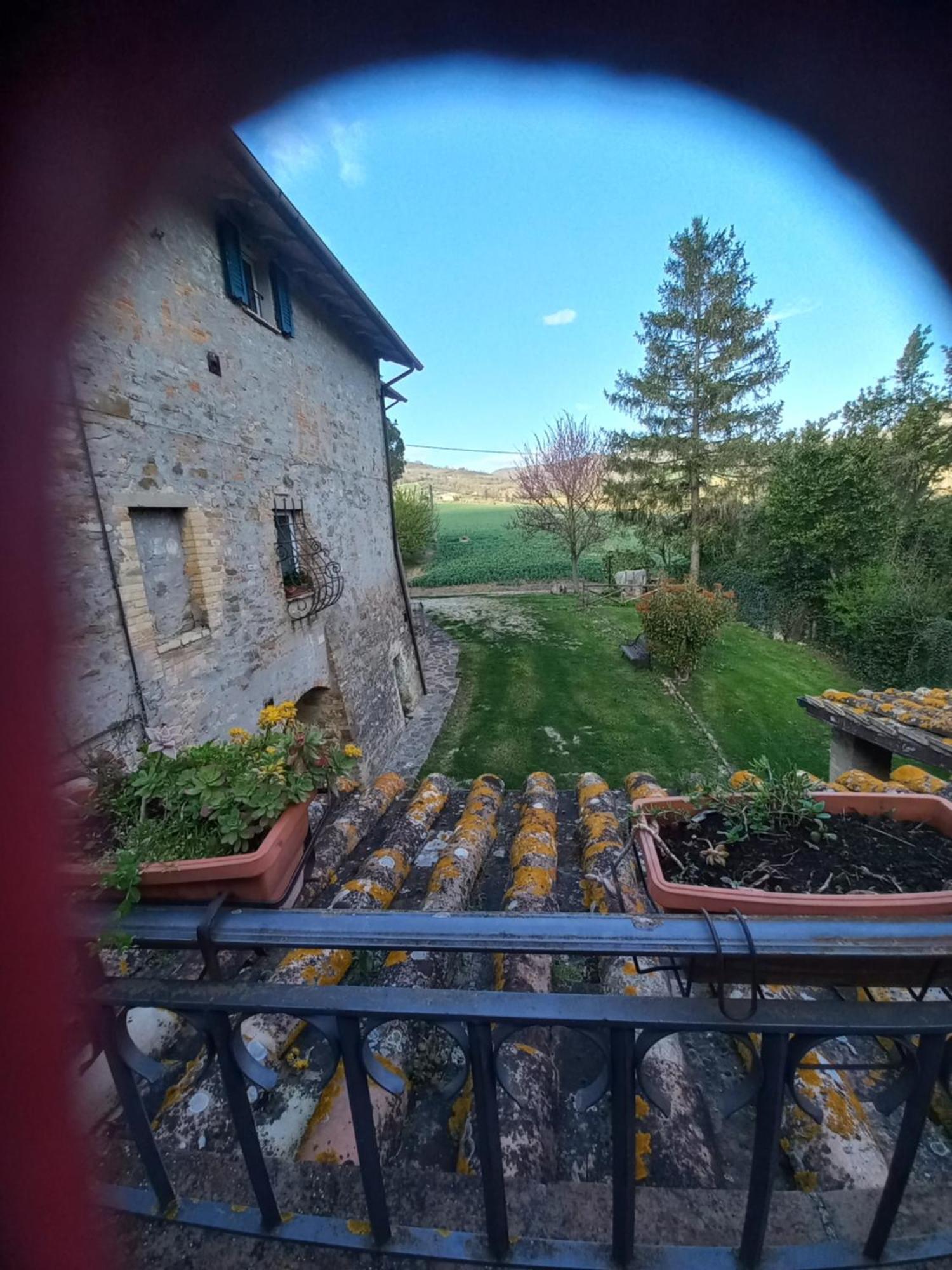 Fattoria Di Rigone Villa Coltavolino Kültér fotó