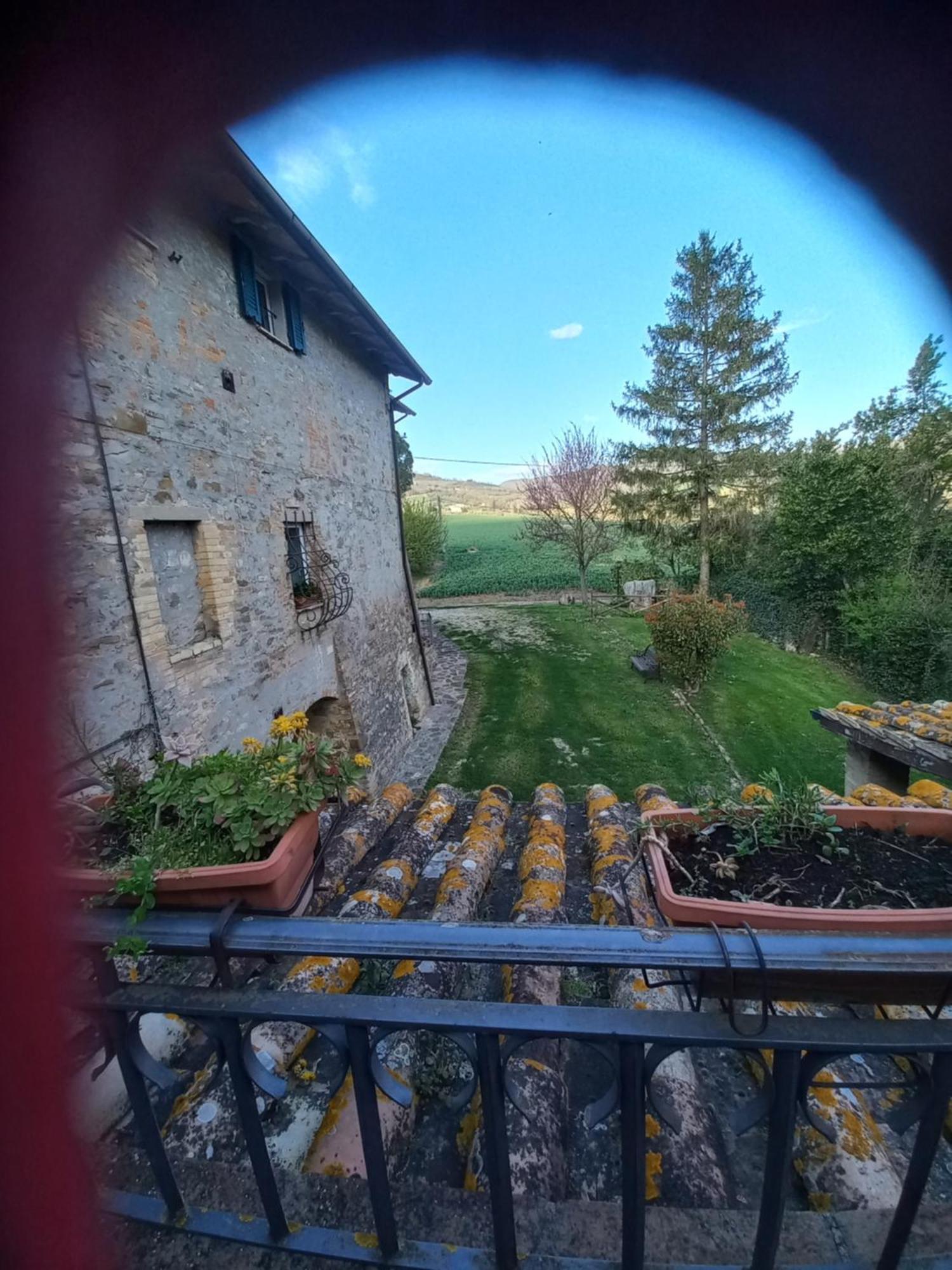Fattoria Di Rigone Villa Coltavolino Kültér fotó