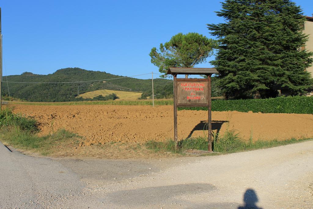 Fattoria Di Rigone Villa Coltavolino Kültér fotó