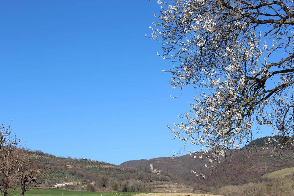 Fattoria Di Rigone Villa Coltavolino Kültér fotó
