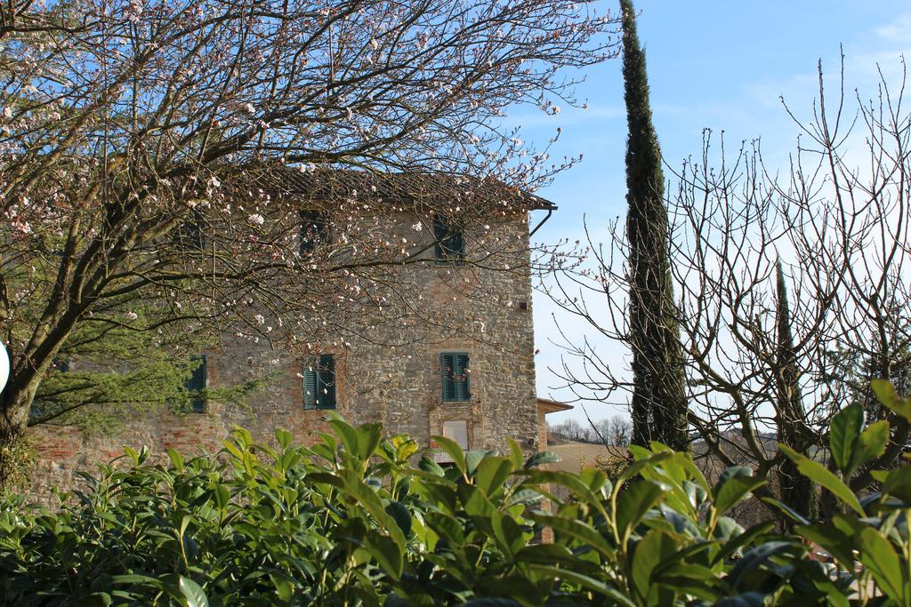 Fattoria Di Rigone Villa Coltavolino Kültér fotó