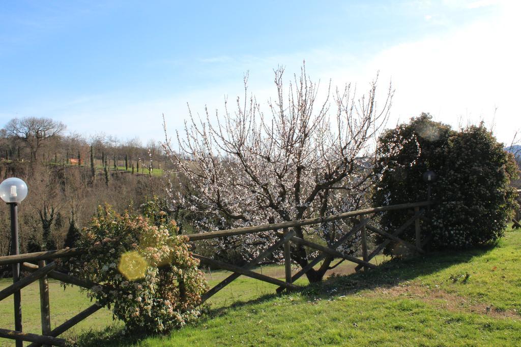 Fattoria Di Rigone Villa Coltavolino Kültér fotó