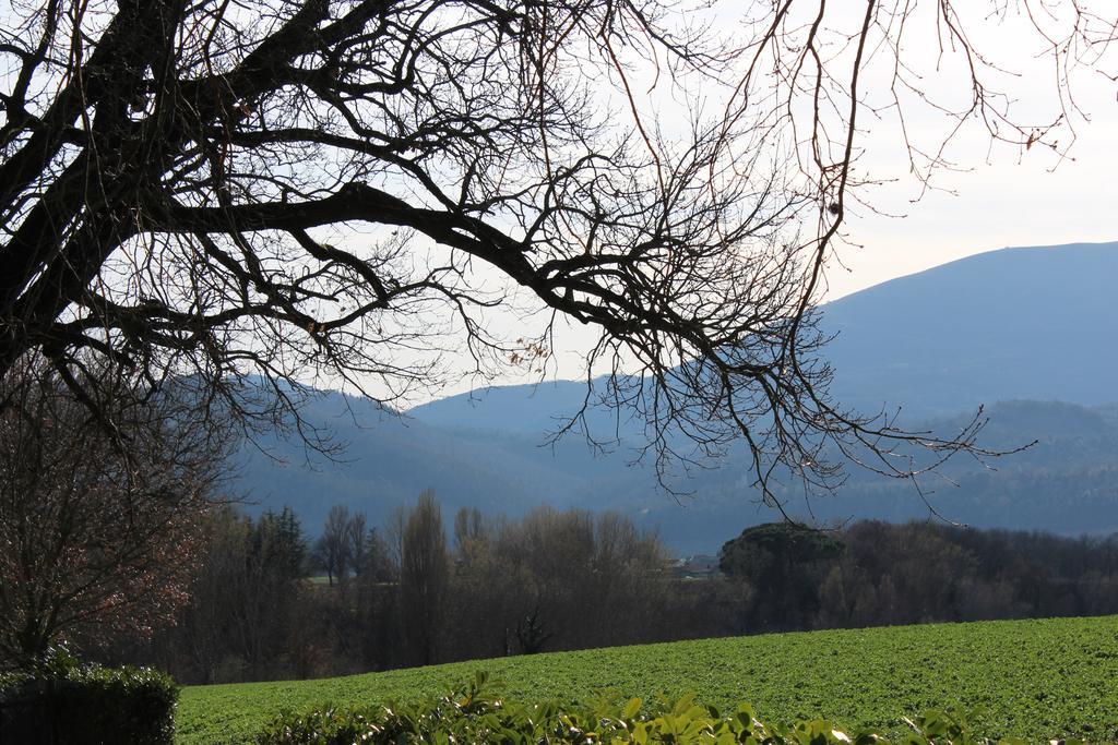 Fattoria Di Rigone Villa Coltavolino Kültér fotó