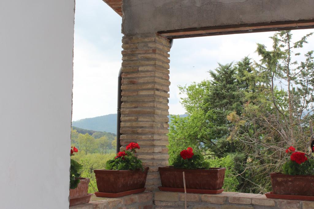 Fattoria Di Rigone Villa Coltavolino Kültér fotó